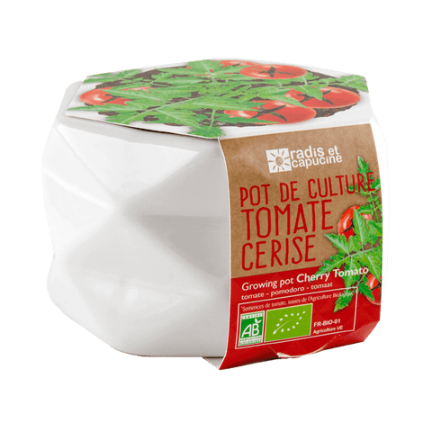 SET - Origami pot for planting ECO cherry tomatoes 