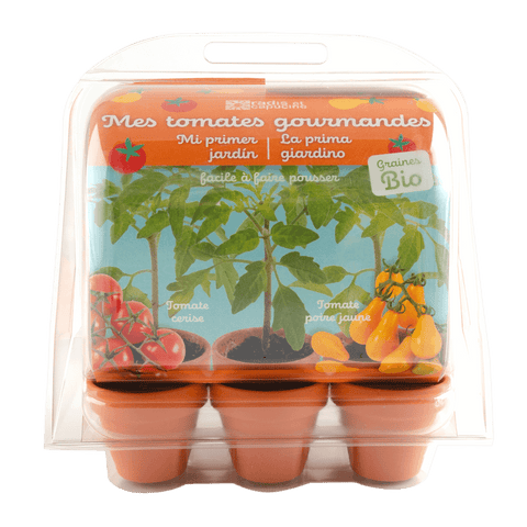 SET - Mini greenhouse for growing tomatoes, for children 