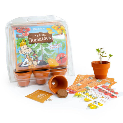 SET - Mini greenhouse for growing tomatoes, for children 