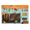 SET - Terrarium for observing roots and earthworms, for children 