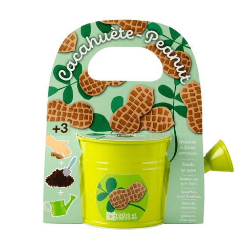 SET - Mini bucket with peanut seeds 