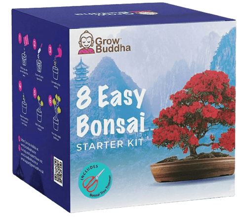 SET - Bonsai Easy, growing 8 types of plants + scissors 