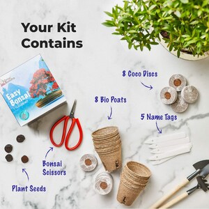 SET - Bonsai Easy, growing 8 types of plants + scissors 