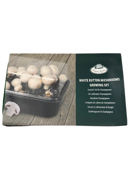 SET - Growing mushrooms in a container 